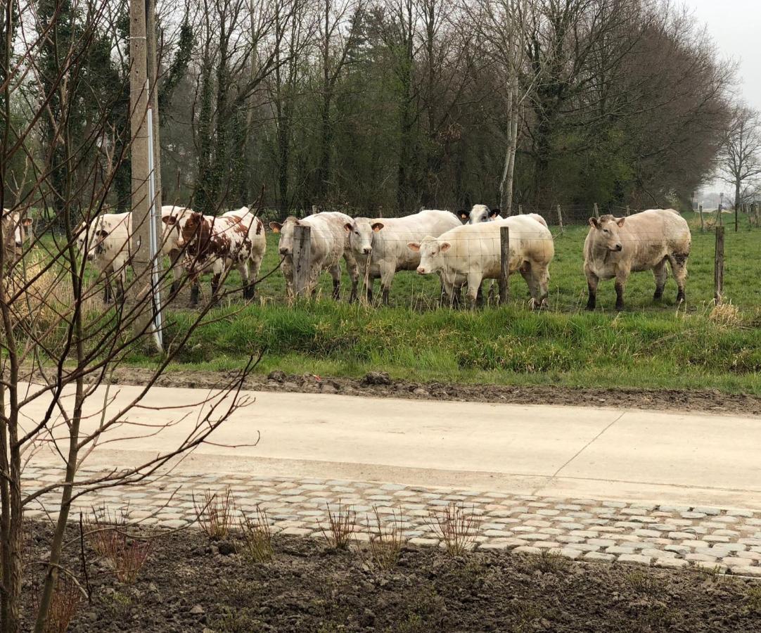 De Betze - Country Life Villa Geetbets Bagian luar foto