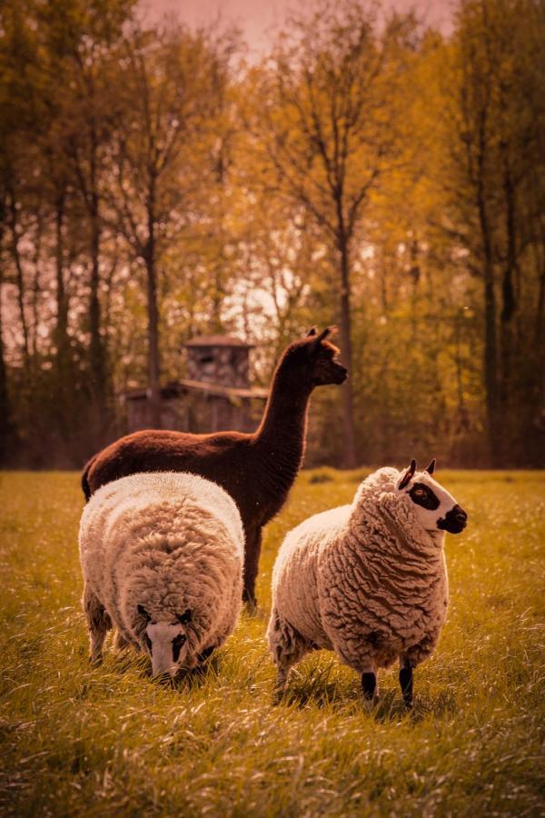 De Betze - Country Life Villa Geetbets Bagian luar foto